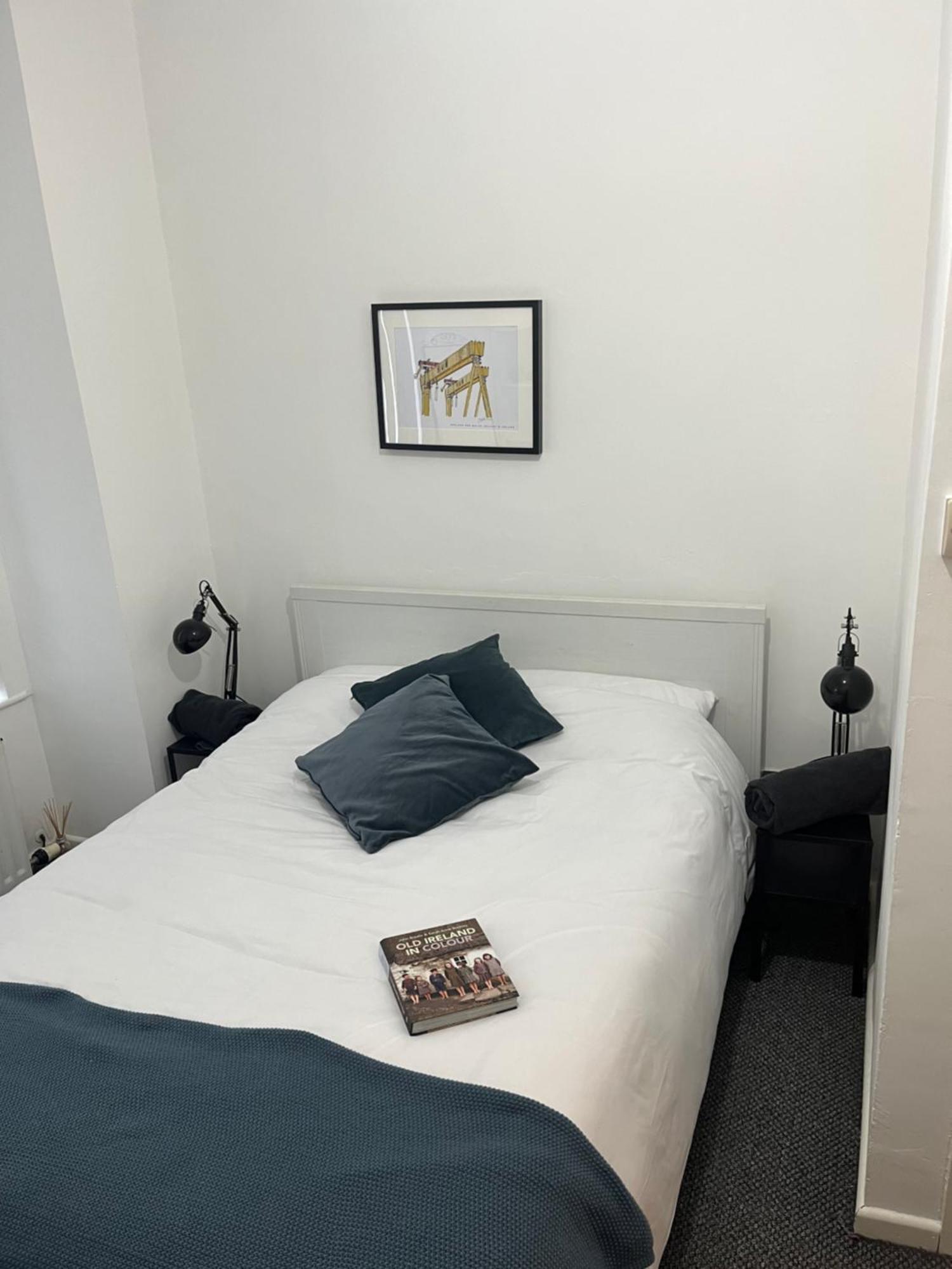 Loganberry Apartment Belfast Extérieur photo